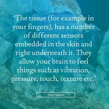 "The tissue (for example in your fingers), has a number of different sensors embedded in the skin and right underneath it. They allow your brain to feel things such as vibration, pressure, touch, texture etc." - Hanns Tappeiner